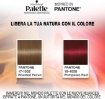 Immagine di PALETTE ROSSO RAMATO 5-72